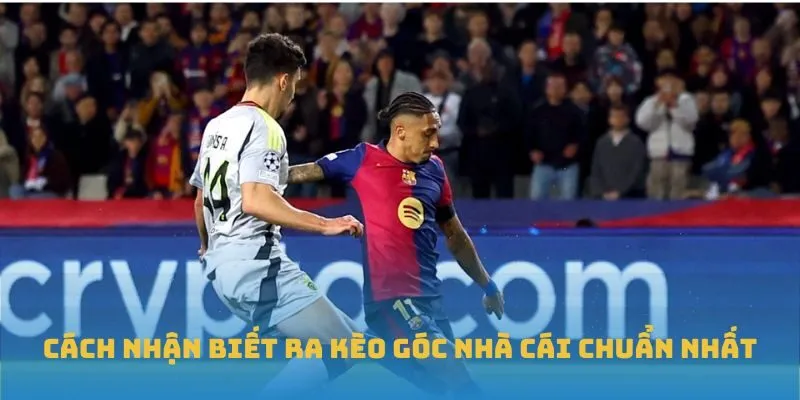 Cách nhận biết ra Kèo góc nhà cái chuẩn nhất